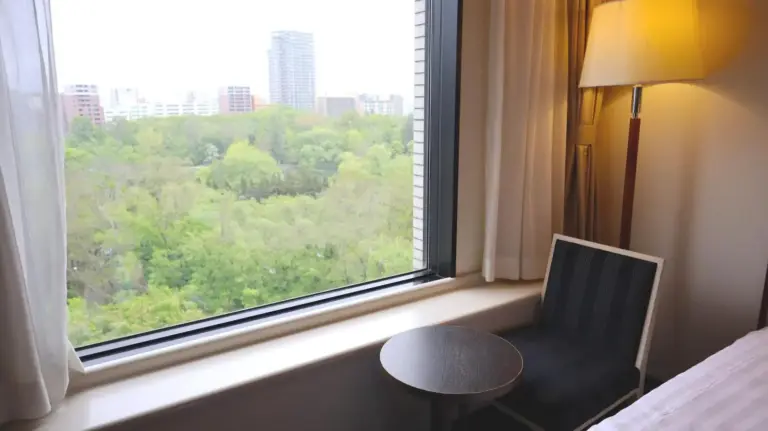 View from Premier Hotel Nakajima Park Sapporo room