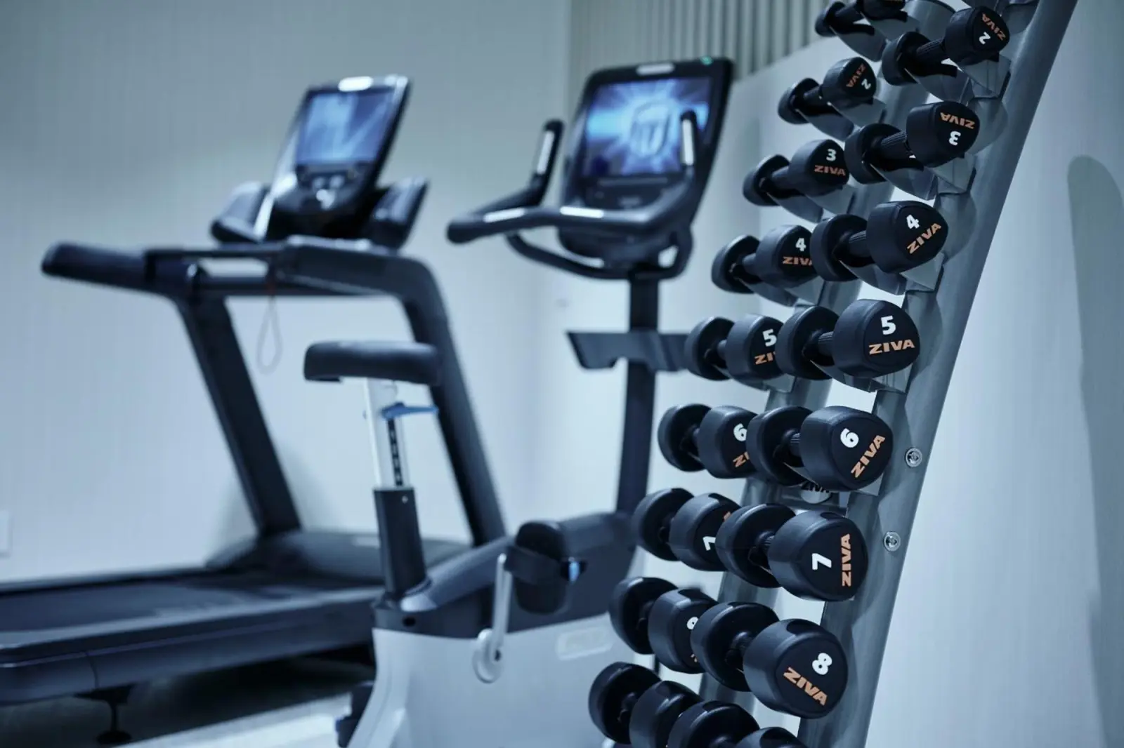 Gimnasio en The Tower Hotel Nagoya